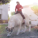 Image for article titled These Awesome Photoshops Are Perfect Because They Were Well Planned